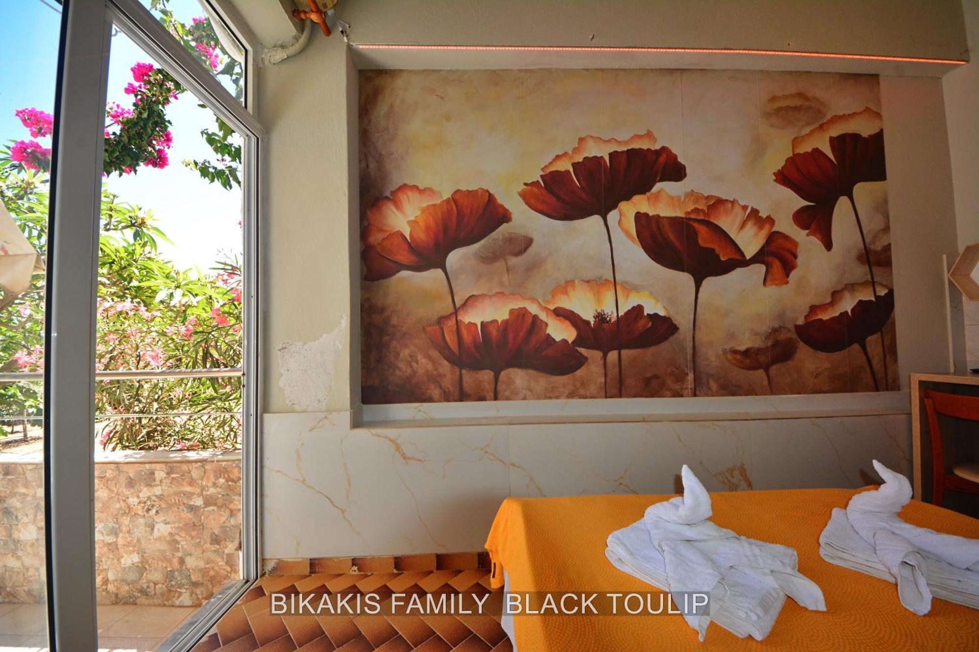 Bikakis Family Apartments Kíssamos Extérieur photo